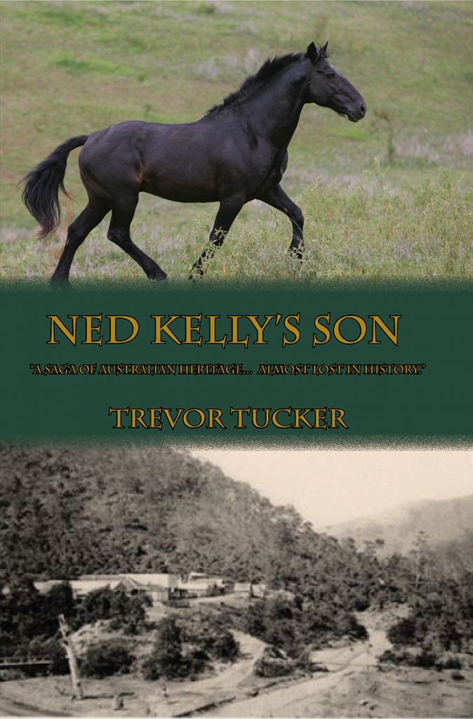 Ned Kelly's Son Cover