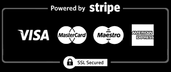 Stripe Payment Logo
